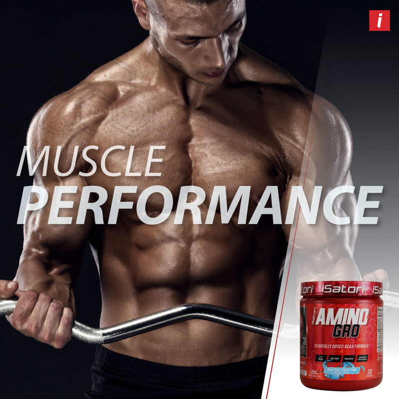 Hallart's LEAN MUSCLE & PERFORMANCE Stack