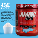Amino-Gro BCAA Powder